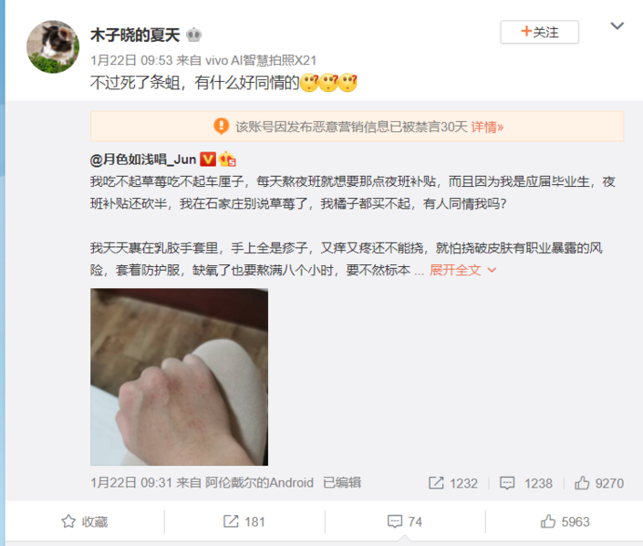 File:Mocha nvquan1.png