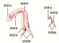 2022年11月20日 (日) 09:13版本的缩略图